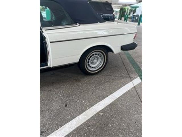 1982 Mercedes-Benz 300CD (CC-2109976) for sale in Cadillac, Michigan