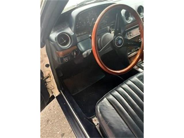 1982 Mercedes-Benz 300CD (CC-2109976) for sale in Cadillac, Michigan