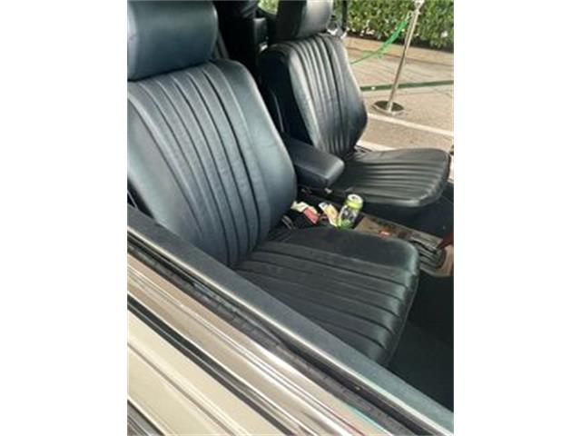 1982 Mercedes-Benz 300CD (CC-2109976) for sale in Cadillac, Michigan
