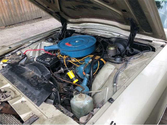 1966 Ford Thunderbird (CC-2110001) for sale in Cadillac, Michigan
