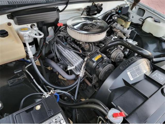 1989 Chevrolet 2-Dr (CC-2111005) for sale in Cadillac, Michigan