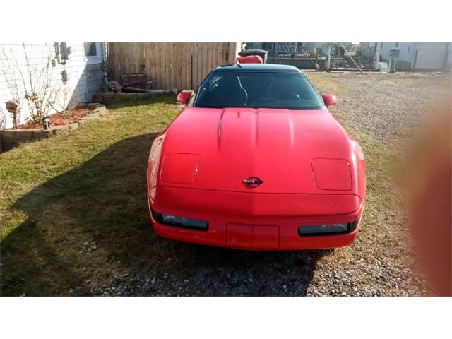 1994 Chevrolet Corvette (CC-2111012) for sale in Cadillac, Michigan