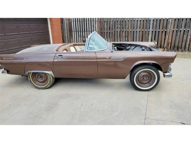 1955 Ford Thunderbird (CC-2111023) for sale in Cadillac, Michigan