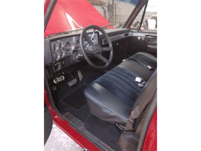 1982 Chevrolet Truck (CC-2111028) for sale in Cadillac, Michigan
