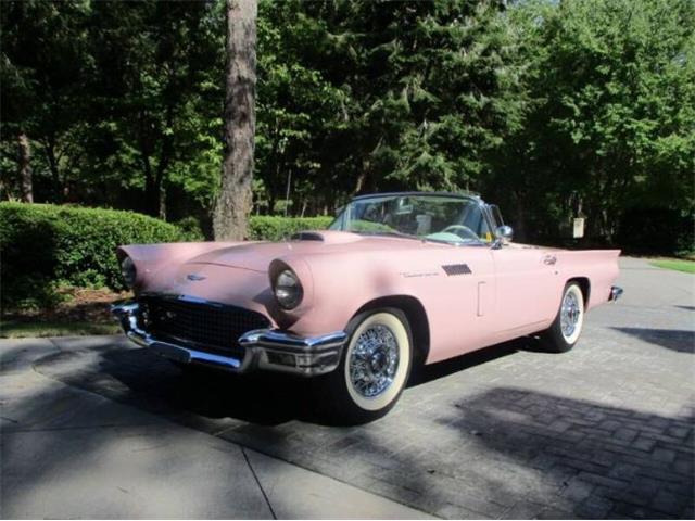 1957 Ford Thunderbird (CC-2111034) for sale in Cadillac, Michigan