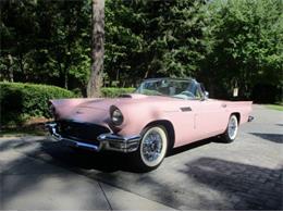 1957 Ford Thunderbird (CC-2111034) for sale in Cadillac, Michigan