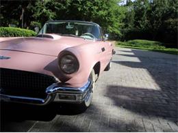 1957 Ford Thunderbird (CC-2111034) for sale in Cadillac, Michigan