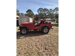 1979 Jeep CJ5 (CC-2111044) for sale in Cadillac, Michigan