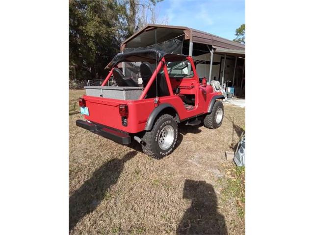 1979 Jeep CJ5 (CC-2111044) for sale in Cadillac, Michigan