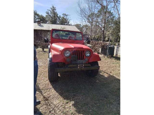 1979 Jeep CJ5 (CC-2111044) for sale in Cadillac, Michigan