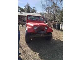 1979 Jeep CJ5 (CC-2111044) for sale in Cadillac, Michigan