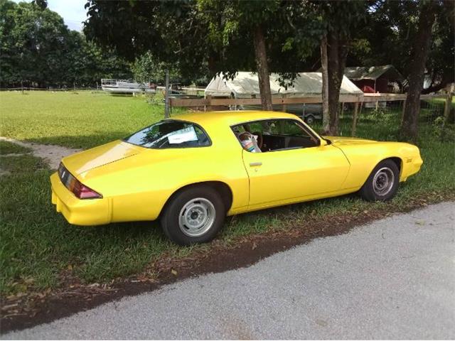 1981 Chevrolet Antique (CC-2111051) for sale in Cadillac, Michigan