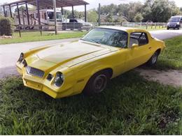1981 Chevrolet Antique (CC-2111051) for sale in Cadillac, Michigan