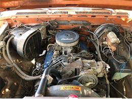 1975 Ford F150 (CC-2111076) for sale in Cadillac, Michigan