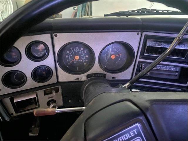 1978 Chevrolet C10 (CC-2111086) for sale in Cadillac, Michigan