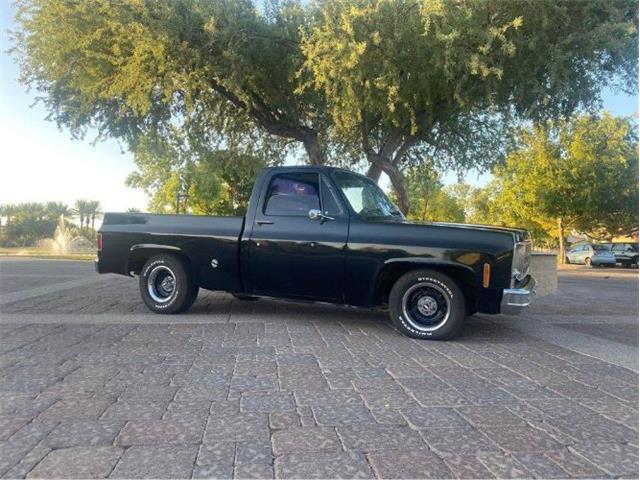 1978 Chevrolet C10 (CC-2111086) for sale in Cadillac, Michigan