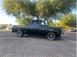 1978 Chevrolet C10 (CC-2111086) for sale in Cadillac, Michigan