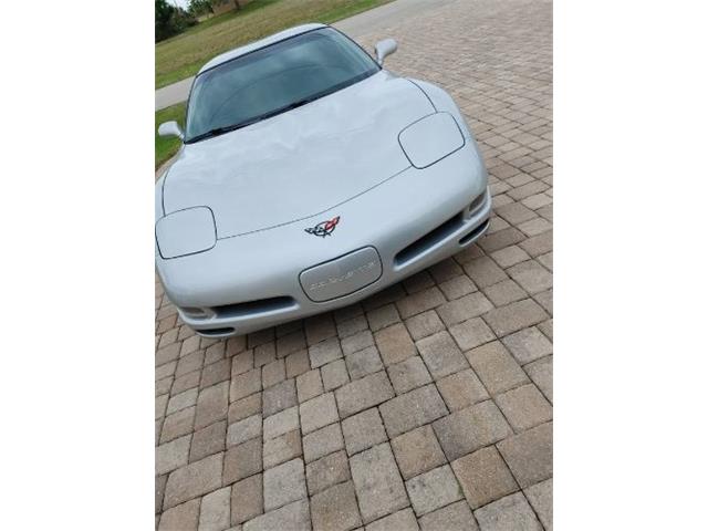 1999 Chevrolet Corvette (CC-2111087) for sale in Cadillac, Michigan