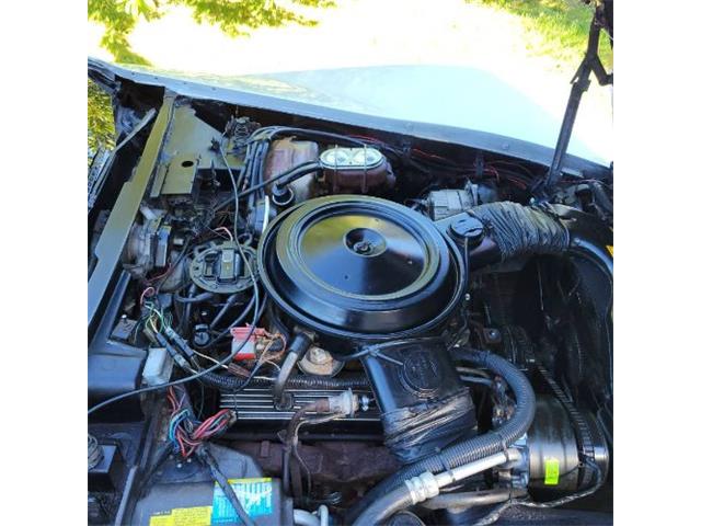 1981 Chevrolet Corvette (CC-2111098) for sale in Cadillac, Michigan