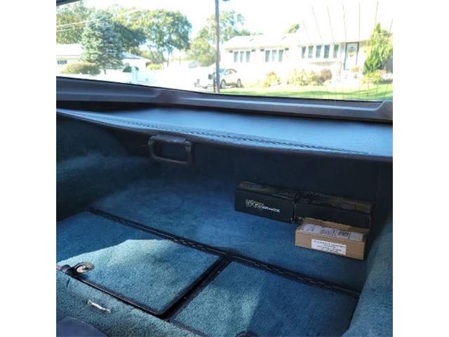 1981 Chevrolet Corvette (CC-2111098) for sale in Cadillac, Michigan