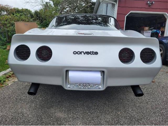 1981 Chevrolet Corvette (CC-2111098) for sale in Cadillac, Michigan
