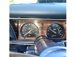 1981 Chevrolet Corvette (CC-2111098) for sale in Cadillac, Michigan