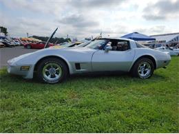 1981 Chevrolet Corvette (CC-2111098) for sale in Cadillac, Michigan