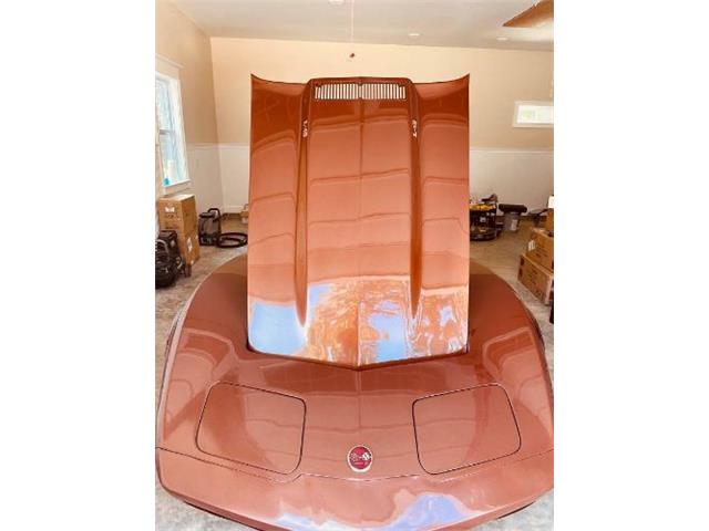 1976 Chevrolet Corvette (CC-2111099) for sale in Cadillac, Michigan