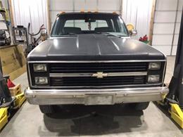 1988 Chevrolet Truck (CC-2111114) for sale in Cadillac, Michigan