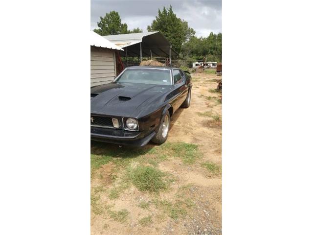 1973 Ford Mustang (CC-2111116) for sale in Cadillac, Michigan