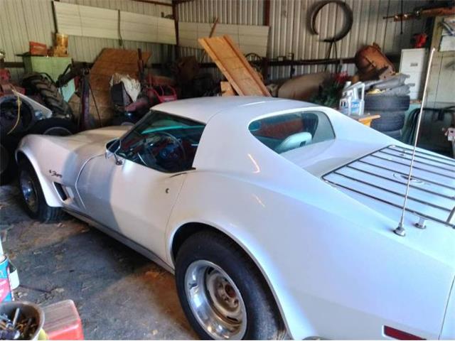 1976 Chevrolet Corvette (CC-2111122) for sale in Cadillac, Michigan
