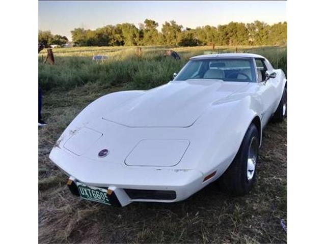 1976 Chevrolet Corvette (CC-2111122) for sale in Cadillac, Michigan