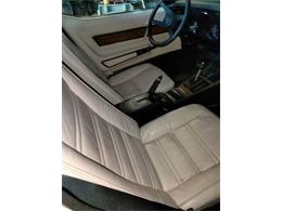 1976 Chevrolet Corvette (CC-2111122) for sale in Cadillac, Michigan