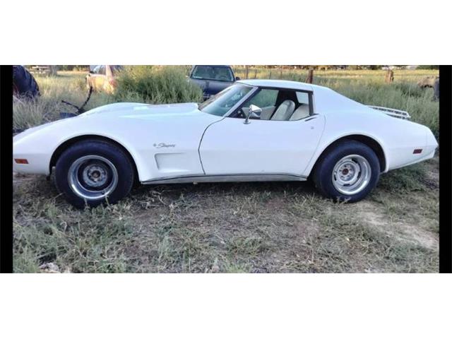 1976 Chevrolet Corvette (CC-2111122) for sale in Cadillac, Michigan