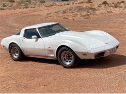 1979 Chevrolet Corvette (CC-2110113) for sale in Cadillac, Michigan