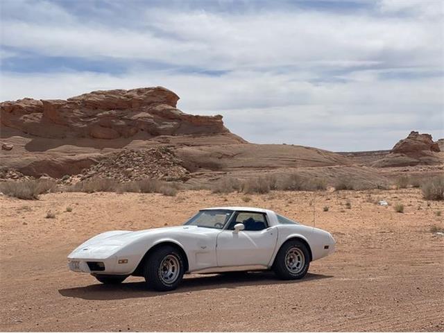 1979 Chevrolet Corvette (CC-2110113) for sale in Cadillac, Michigan