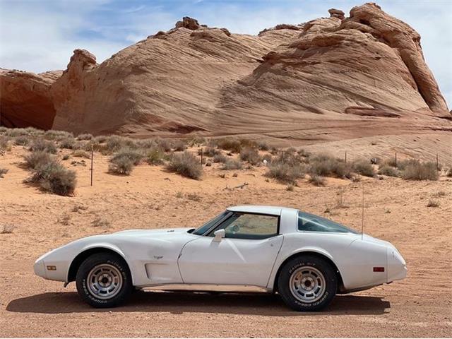 1979 Chevrolet Corvette (CC-2110113) for sale in Cadillac, Michigan