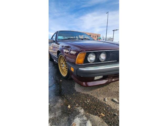 1984 BMW 633csi (CC-2111140) for sale in Cadillac, Michigan