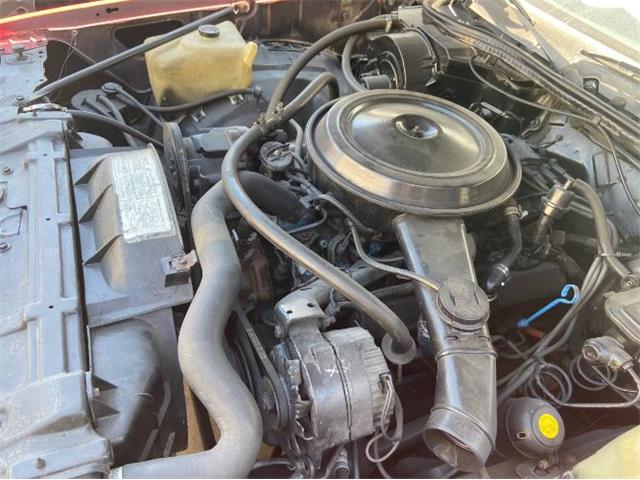 1978 Oldsmobile Cutlass (CC-2111152) for sale in Cadillac, Michigan