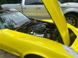 1982 Chevrolet Corvette (CC-2111156) for sale in Cadillac, Michigan
