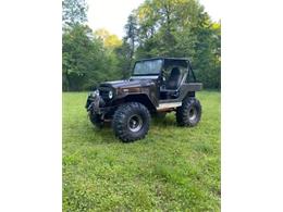 1978 Toyota Land Cruiser FJ40 (CC-2111161) for sale in Cadillac, Michigan