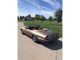 1988 Jaguar XJS (CC-2111162) for sale in Cadillac, Michigan