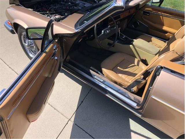 1988 Jaguar XJS (CC-2111162) for sale in Cadillac, Michigan