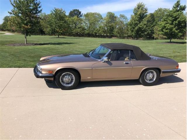 1988 Jaguar XJS (CC-2111162) for sale in Cadillac, Michigan
