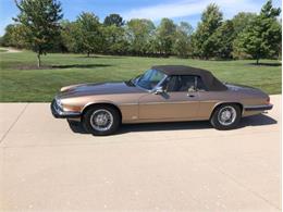 1988 Jaguar XJS (CC-2111162) for sale in Cadillac, Michigan