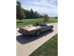 1988 Jaguar XJS (CC-2111162) for sale in Cadillac, Michigan