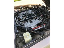 1988 Jaguar XJS (CC-2111162) for sale in Cadillac, Michigan