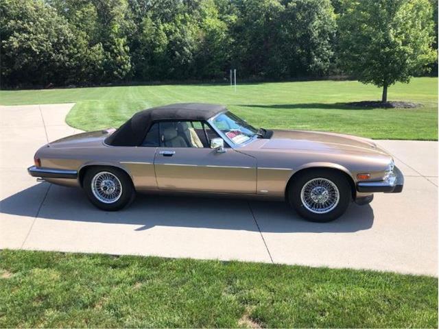 1988 Jaguar XJS (CC-2111162) for sale in Cadillac, Michigan
