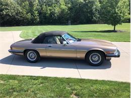 1988 Jaguar XJS (CC-2111162) for sale in Cadillac, Michigan