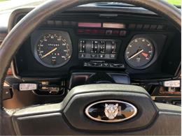 1988 Jaguar XJS (CC-2111162) for sale in Cadillac, Michigan